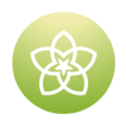 1163px-Spring logoficha.png